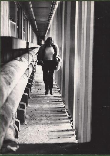 La plaine du Viviouioui